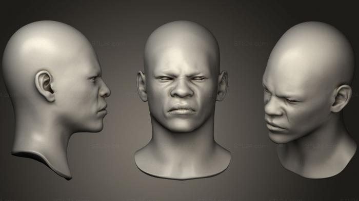 Анатомия скелеты и черепа (Голова Черного Человека 3, ANTM_0278) 3D модель для ЧПУ станка